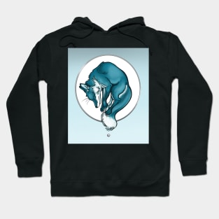 Spirit Guide Hoodie